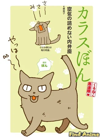 Кошачьи истории