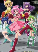 Токийские Кошечки сезон 1