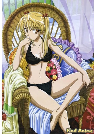 аниме Школьный переполох OVA-2 (School Rumble: Third Term: School Rumble San Gakki) 21.11.11