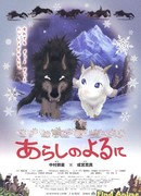 Ночная Буря