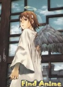 Альянс Серокрылых сезон 1