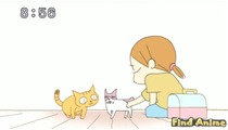 Кошачьи истории