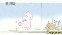 Кошачьи истории