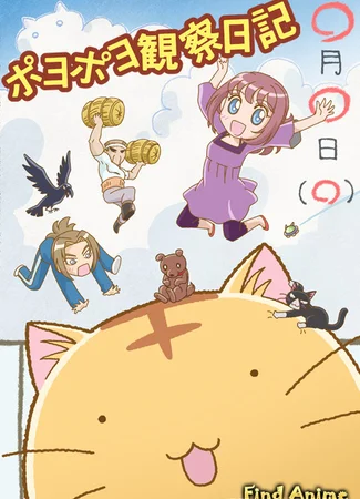 Кот по имени Пойо