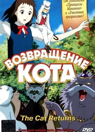 Возвращение кота