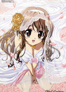 Секрет Харуки Ногидзаки сезон 1