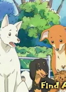 Вперёд! (2004) сезон 1