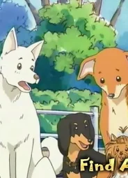 Вперёд! (2004)