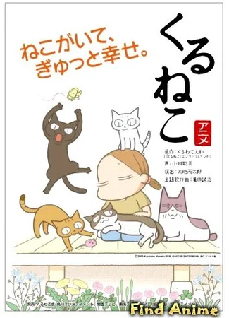 Кошачьи истории