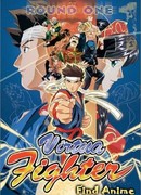 Виртуальный боец сезон 1