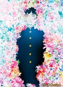 Многоцветье