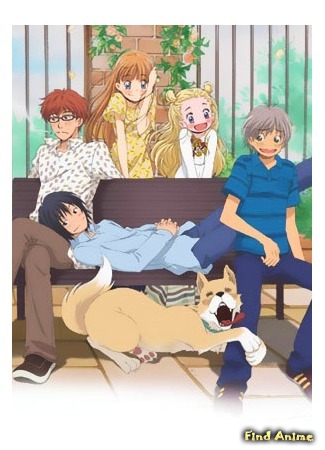 аниме Мед и клевер 2 (Honey and Clover II: Hachimitsu to Clover II) 10.05.15