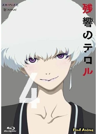 аниме Эхо террора (Terror in Resonance: Zankyou no Terror) 21.06.15