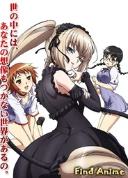 Стигматы Квайзеров! [OVA]