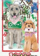 Однажды мне пришло письмо из Страны собак сезон 1