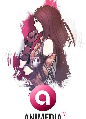 Переводчик Animedia 01.12.15