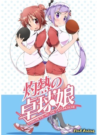 аниме Знойный пинг-понг (Scorching Ping Pong Girls: Shakunetsu no Takkyuu Musume) 30.06.16