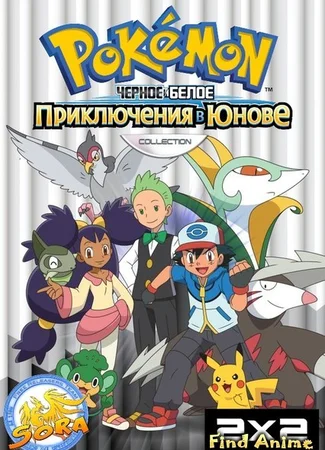 Покемон: Черное и Белое