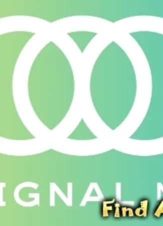 Студия Signal MD 18.08.16
