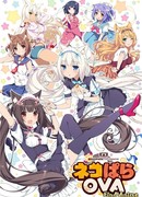 Кошачий рай OVA