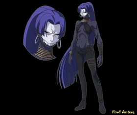 Ассасин (Fate/Zero)