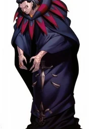 Кастер (Fate/Zero)