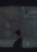 Под дождём сезон 1