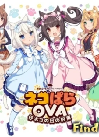 Кошачий рай: Обещания кошек