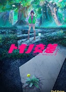 Пересечение Токино сезон 1