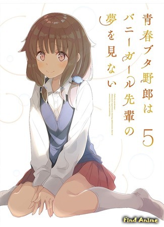 аниме Негодник, которому не снилась девушка-кролик (Rascal Does Not Dream of Bunny Girl Senpai: Seishun Buta Yarou wa Bunny Girl Senpai no Yume wo Minai) 03.04.19
