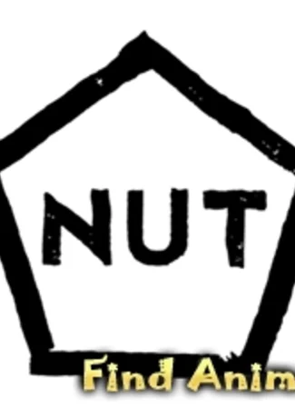 Студия NUT 15.07.19