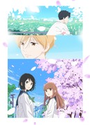 Любит — не любит