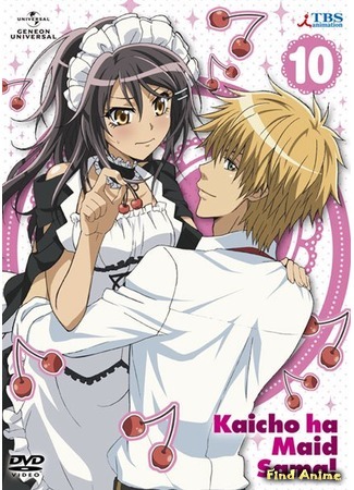 аниме Президент студсовета - горничная! (Kaichou wa Maid-sama!) 19.04.20