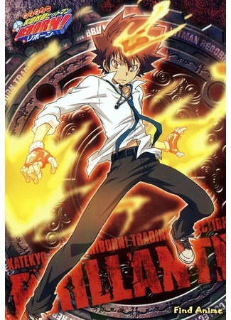 аниме Учитель-мафиози Реборн! [ТВ] (Kateikyoushi Hitman Reborn) 13.08.20