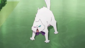 Мурр