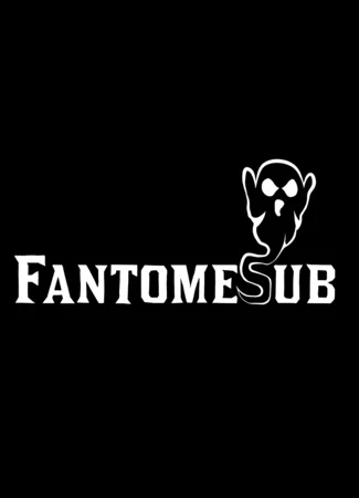 Переводчик FantomeSub 29.07.22
