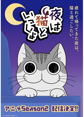 аниме Вечера с кошкой (Nights with a Cat 2: Yoru wa Neko to Issho Season 2) 11.01.23