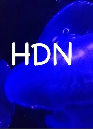 Переводчик HDN Studio 14.02.23
