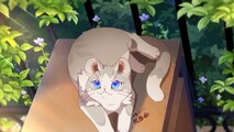 Кошачий чай