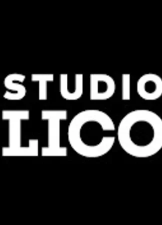 Студия LICO 16.01.24