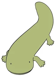 Куна