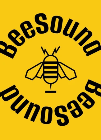 Переводчик BeeSound 14.09.24