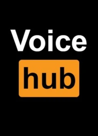 Переводчик VoiceHub 24.11.24