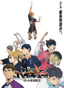 Волейбол!! Против Маленького Гиганта