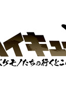 Волейбол!! Путь монстров