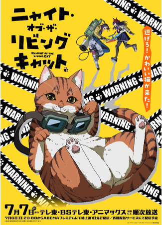 аниме Ночь живых кошаков (Nyaight of the Living Cat) 01.07.25