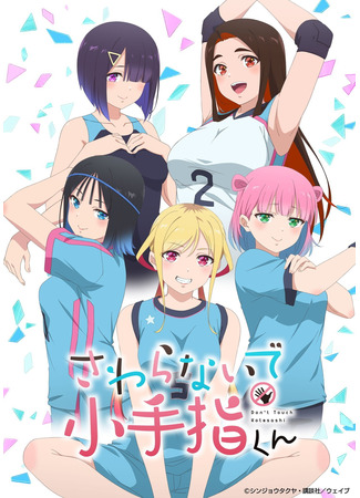 аниме Не трогай меня, Котэсаши (Hands Off: Sawaranaide Kotesashi-kun: Sawaranaide Kotesashi-kun) 05.10.25