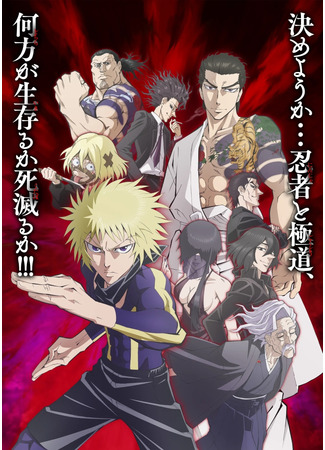 аниме Нинзя и якуза (Ninja vs. Gokudo: Ninja to Gokudou) 10.10.25